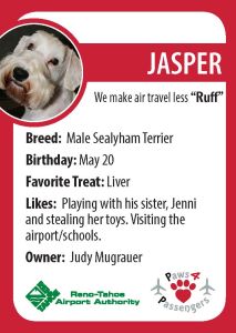 Jasper Trading Card