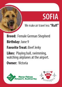 Sofia Trading Card