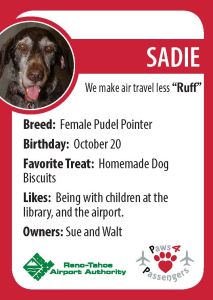 Sadie Trading Card