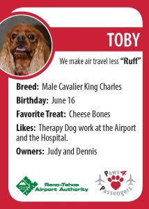 Toby Trading Card