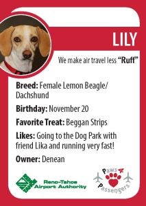 Lily Trading Card