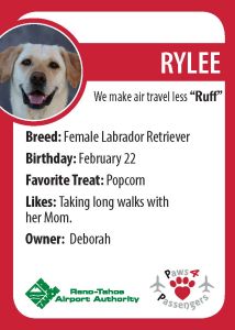 Rylee Trading Card