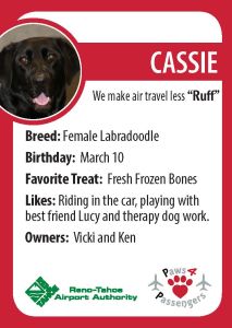 Cassie Trading Card