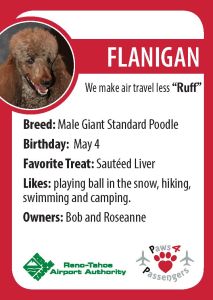 Flanigan