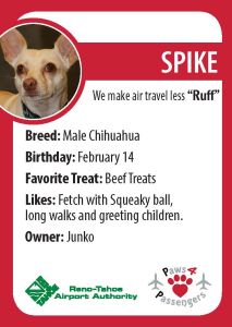 Spike Trading Card