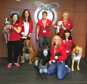 3 P4P dogs are featured, along with the 3 P4L dogs, in the attached Justice Dogs photo