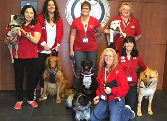3 P4P dogs are featured, along with the 3 P4L dogs, in the attached Justice Dogs photo
