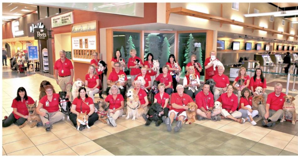 Paws 4 Passengers 2018 photo Paws 4 Passengers 2018 photo