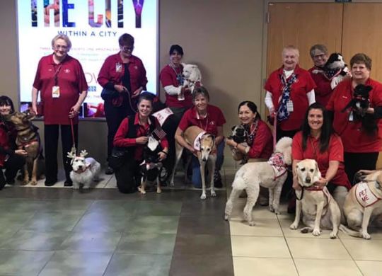 Honor Flight team 12-1-18