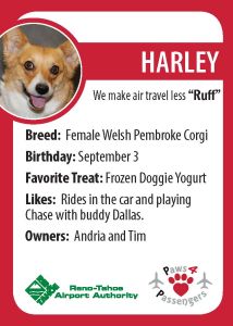 Harley Trading Card